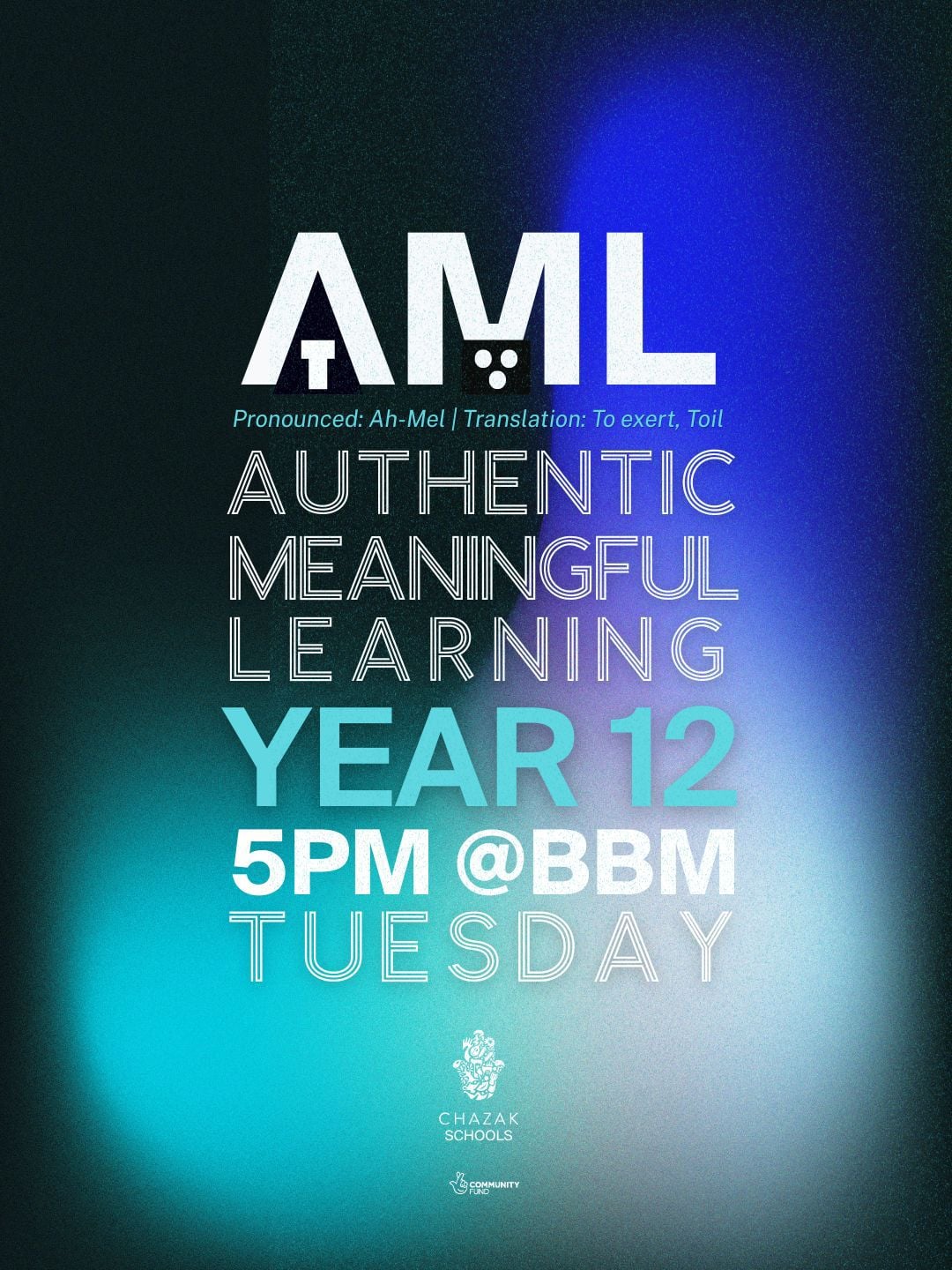 AML Year 12