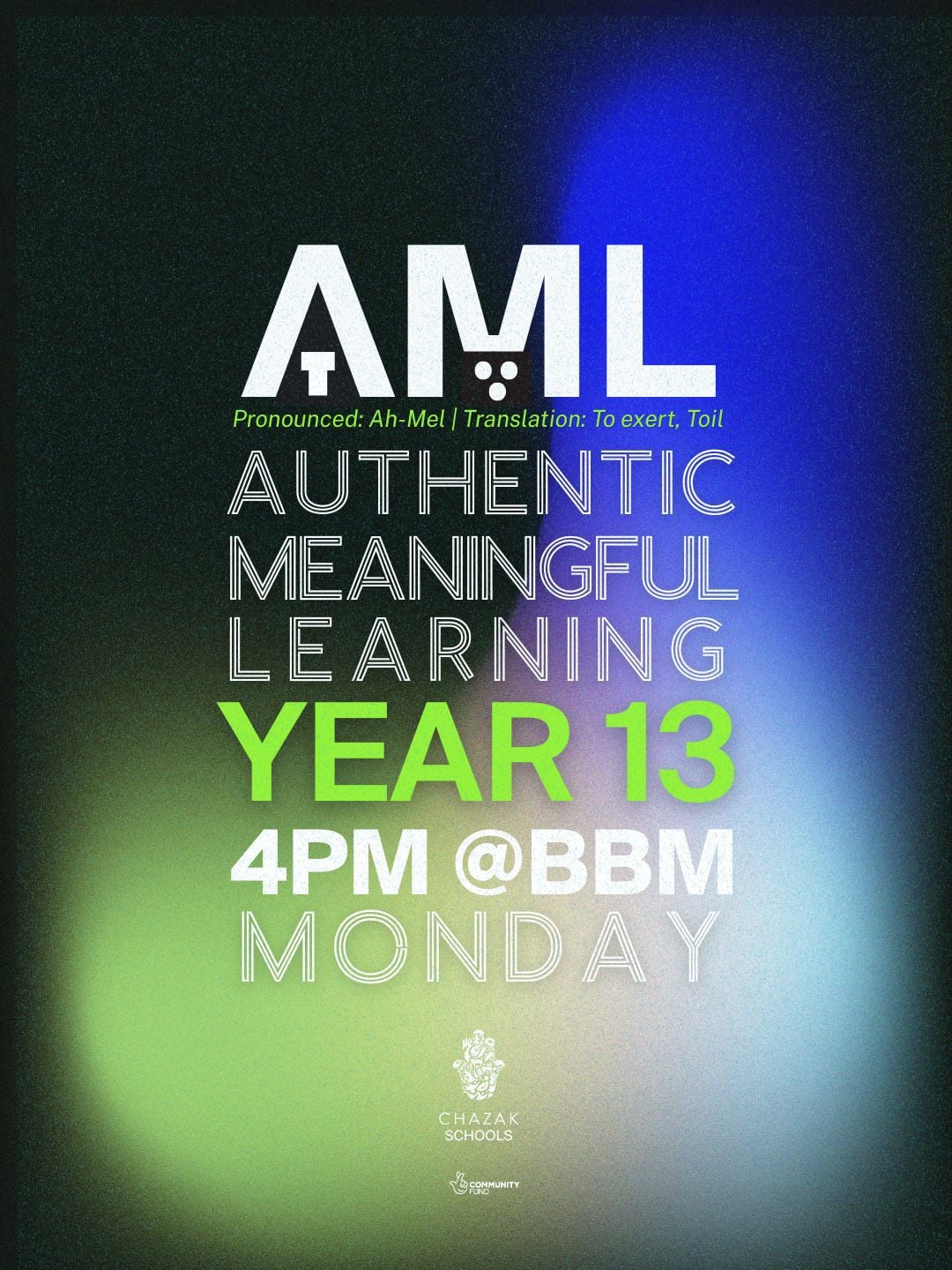 AML Year 13